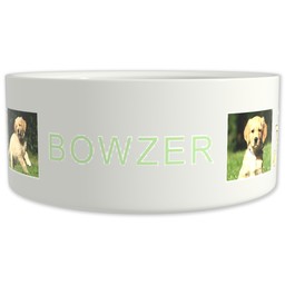 Pet Bowl 9oz with Doggie Friends design