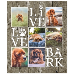 50x60 Fleece Blanket with Live Love Bark design