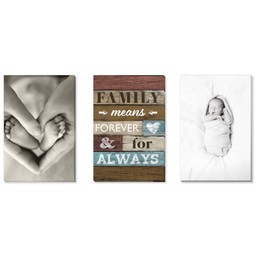 3 Piece Multi-Piece Canvas (24" x 52") with Three Of A Kind: Family Means Forever design
