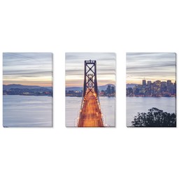 3 Piece Multi-Piece Canvas (24" x 52") with Three Of A Kind: Full Photo design
