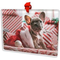 Thumbnail for Rectangular Acrylic Ornament with Full Photo design 2